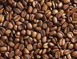 قهوه عربیکا چیست همه چیز درمورد آن