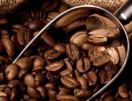 بهترین ترکیب قهوه عربیکا و روبوستا