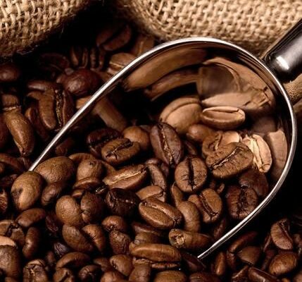 بهترین ترکیب قهوه عربیکا و روبوستا