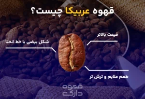 قهوه عربیکا چیست